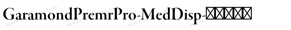 GaramondPremrPro-MedDisp字体转换