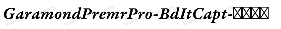 GaramondPremrPro-BdItCapt字体转换