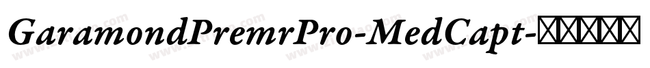 GaramondPremrPro-MedCapt字体转换