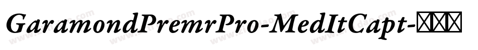GaramondPremrPro-MedItCapt字体转换