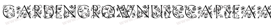 GardenGrownUsCCaps-Eaa8W字体转换