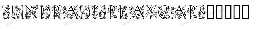 SundraDisplayCaps字体转换