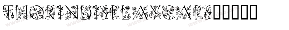 ThorinDisplayCaps字体转换