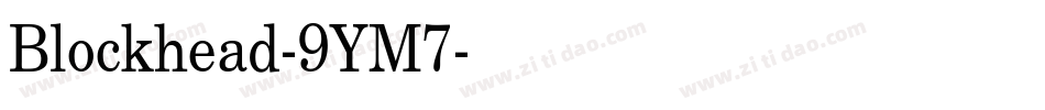 Blockhead-9YM7字体转换