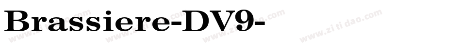 Brassiere-DV9字体转换