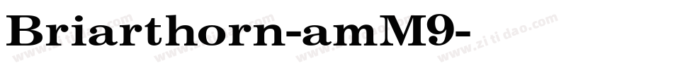 Briarthorn-amM9字体转换