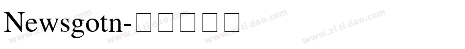 Newsgotn字体转换