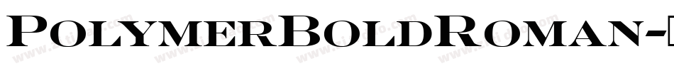 PolymerBoldRoman字体转换