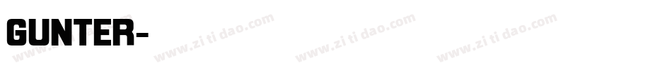 gunter字体转换