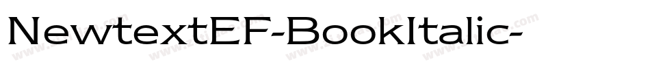 NewtextEF-BookItalic字体转换