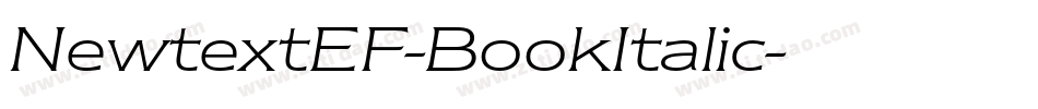 NewtextEF-BookItalic字体转换