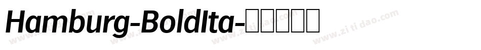 Hamburg-BoldIta字体转换