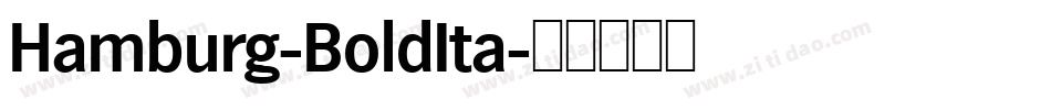 Hamburg-BoldIta字体转换