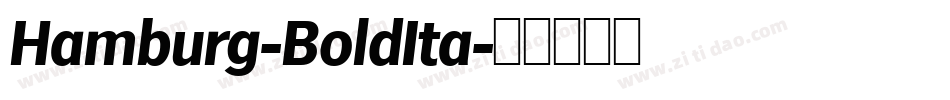 Hamburg-BoldIta字体转换