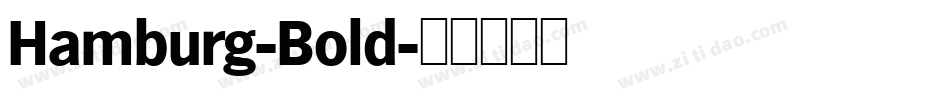 Hamburg-Bold字体转换