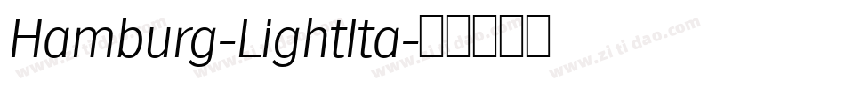 Hamburg-LightIta字体转换