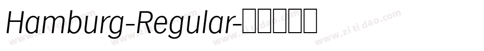 Hamburg-Regular字体转换