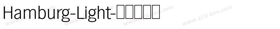 Hamburg-Light字体转换