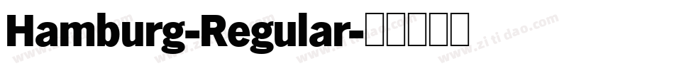 Hamburg-Regular字体转换
