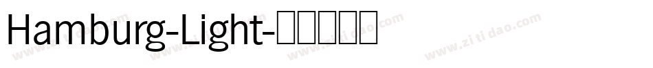Hamburg-Light字体转换