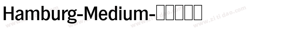 Hamburg-Medium字体转换