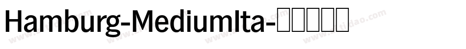 Hamburg-MediumIta字体转换