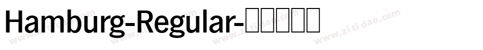 Hamburg-Regular字体转换