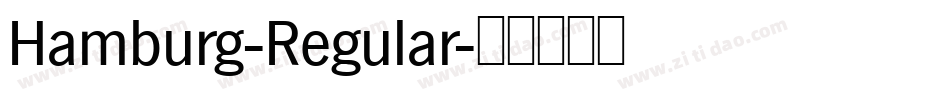 Hamburg-Regular字体转换