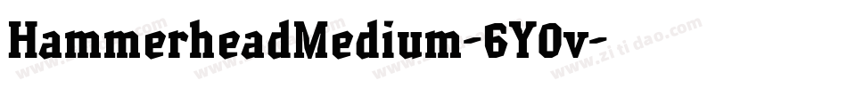 HammerheadMedium-6Y0v字体转换