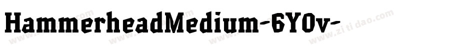 HammerheadMedium-6Y0v字体转换