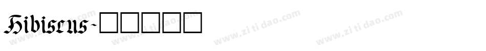 Hibiscus字体转换