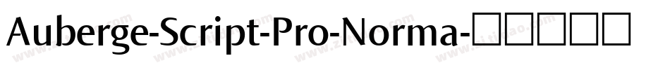 Auberge-Script-Pro-Norma字体转换