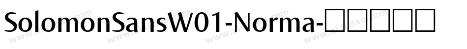 SolomonSansW01-Norma字体转换