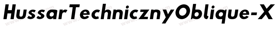 HussarTechnicznyOblique-XeLa字体转换
