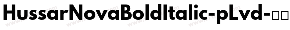 HussarNovaBoldItalic-pLvd字体转换