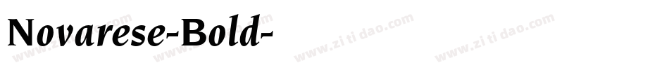 Novarese-Bold字体转换