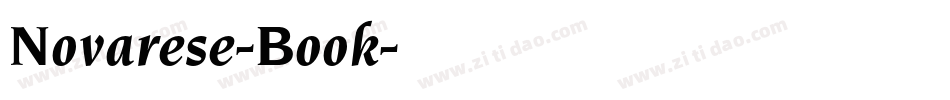 Novarese-Book字体转换