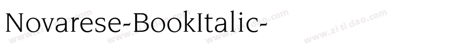 Novarese-BookItalic字体转换