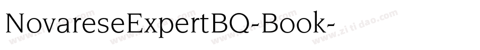 NovareseExpertBQ-Book字体转换