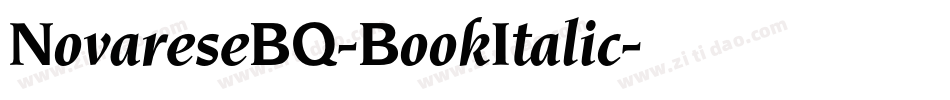 NovareseBQ-BookItalic字体转换