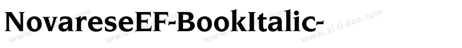 NovareseEF-BookItalic字体转换
