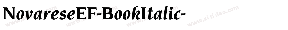 NovareseEF-BookItalic字体转换