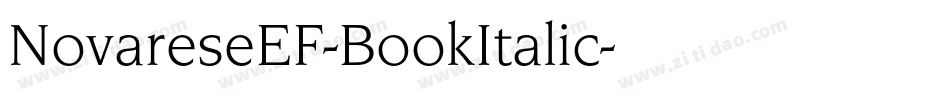 NovareseEF-BookItalic字体转换