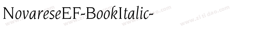NovareseEF-BookItalic字体转换