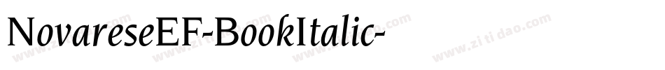 NovareseEF-BookItalic字体转换