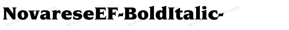 NovareseEF-BoldItalic字体转换