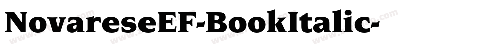 NovareseEF-BookItalic字体转换