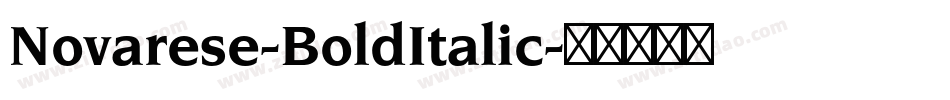 Novarese-BoldItalic字体转换
