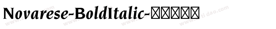 Novarese-BoldItalic字体转换