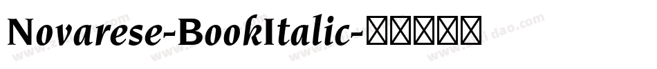 Novarese-BookItalic字体转换